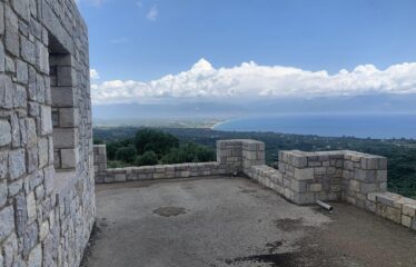 ΜΑΙΖΟΝΕΤΑ ΚΑΣΤΑΝΙΑ ΠΕΤΑΛΙΔΙΟΥ