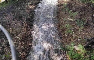 ΕΠΑΓΓΕΛΜΑΤΙΚΟ ΚΤΗΡΙΟ ΑΡΤΙΚΙ ΤΡΙΦΥΛΛΙΑΣ