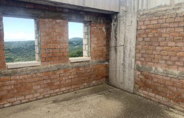 ΜΑΙΖΟΝΕΤΑ ΚΑΣΤΑΝΙΑ ΠΕΤΑΛΙΔΙΟΥ