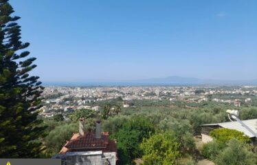 ΜΑΙΖΟΝΕΤΑ ΚΑΛΑΜΑΤΑ