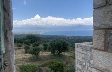 ΜΑΙΖΟΝΕΤΑ ΚΑΣΤΑΝΙΑ ΠΕΤΑΛΙΔΙΟΥ