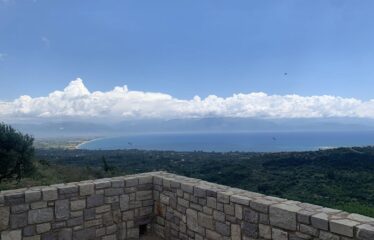 ΜΑΙΖΟΝΕΤΑ ΚΑΣΤΑΝΙΑ ΠΕΤΑΛΙΔΙΟΥ