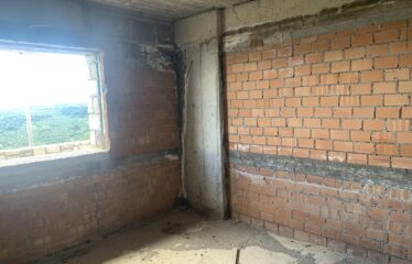 ΜΑΙΖΟΝΕΤΑ ΚΑΣΤΑΝΙΑ ΠΕΤΑΛΙΔΙΟΥ