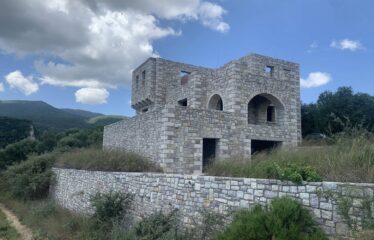 ΜΑΙΖΟΝΕΤΑ ΚΑΣΤΑΝΙΑ ΠΕΤΑΛΙΔΙΟΥ