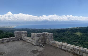 ΜΑΙΖΟΝΕΤΑ ΚΑΣΤΑΝΙΑ ΠΕΤΑΛΙΔΙΟΥ