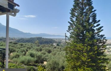 ΜΑΙΖΟΝΕΤΑ ΚΑΛΑΜΑΤΑ