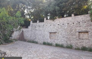 ΕΠΑΓΓΕΛΜΑΤΙΚΟ ΚΤΗΡΙΟ ΑΡΤΙΚΙ ΤΡΙΦΥΛΛΙΑΣ