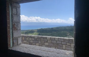 ΜΑΙΖΟΝΕΤΑ ΚΑΣΤΑΝΙΑ ΠΕΤΑΛΙΔΙΟΥ