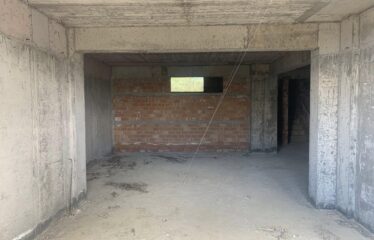 ΜΑΙΖΟΝΕΤΑ ΚΑΣΤΑΝΙΑ ΠΕΤΑΛΙΔΙΟΥ