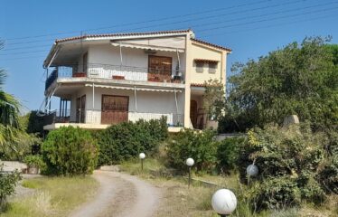 ΜΑΙΖΟΝΕΤΑ ΚΑΛΑΜΑΤΑ