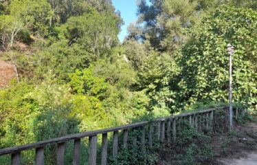 ΕΠΑΓΓΕΛΜΑΤΙΚΟ ΚΤΗΡΙΟ ΑΡΤΙΚΙ ΤΡΙΦΥΛΛΙΑΣ