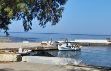 ΕΠΑΓΓΕΛΜΑΤΙΚΟ ΚΤΗΡΙΟ