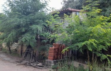 ΕΠΑΓΓΕΛΜΑΤΙΚΟ ΚΤΗΡΙΟ ΑΡΤΙΚΙ ΤΡΙΦΥΛΛΙΑΣ