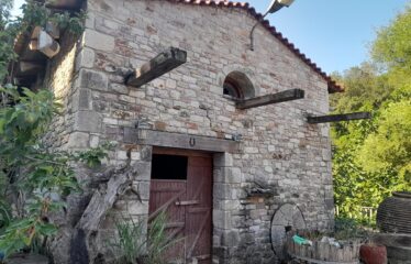 ΕΠΑΓΓΕΛΜΑΤΙΚΟ ΚΤΗΡΙΟ ΑΡΤΙΚΙ ΤΡΙΦΥΛΛΙΑΣ