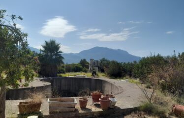 ΜΑΙΖΟΝΕΤΑ ΚΑΛΑΜΑΤΑ