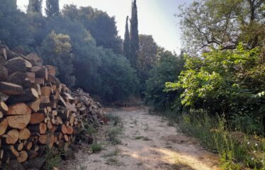 ΕΠΑΓΓΕΛΜΑΤΙΚΟ ΚΤΗΡΙΟ ΑΡΤΙΚΙ ΤΡΙΦΥΛΛΙΑΣ