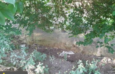 ΕΠΑΓΓΕΛΜΑΤΙΚΟ ΚΤΗΡΙΟ ΑΡΤΙΚΙ ΤΡΙΦΥΛΛΙΑΣ