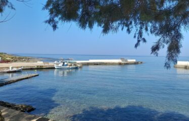 ΕΠΑΓΓΕΛΜΑΤΙΚΟ ΚΤΗΡΙΟ