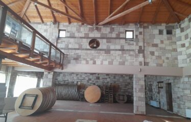 ΕΠΑΓΓΕΛΜΑΤΙΚΟ ΚΤΗΡΙΟ ΑΡΤΙΚΙ ΤΡΙΦΥΛΛΙΑΣ