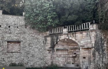 ΕΠΑΓΓΕΛΜΑΤΙΚΟ ΚΤΗΡΙΟ ΑΡΤΙΚΙ ΤΡΙΦΥΛΛΙΑΣ