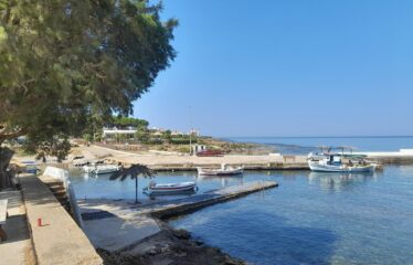 ΕΠΑΓΓΕΛΜΑΤΙΚΟ ΚΤΗΡΙΟ