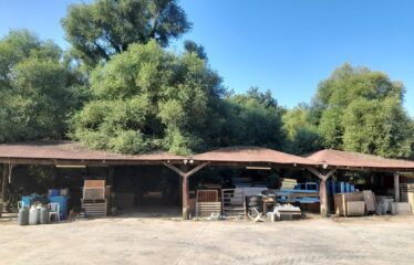 ΕΠΑΓΓΕΛΜΑΤΙΚΟ ΚΤΗΡΙΟ ΑΡΤΙΚΙ ΤΡΙΦΥΛΛΙΑΣ