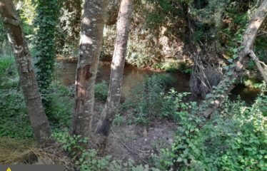 ΕΠΑΓΓΕΛΜΑΤΙΚΟ ΚΤΗΡΙΟ ΑΡΤΙΚΙ ΤΡΙΦΥΛΛΙΑΣ