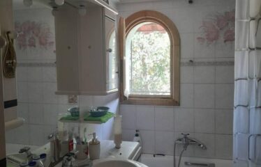 ΜΑΙΖΟΝΕΤΑ ΚΑΛΑΜΑΤΑ