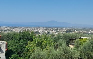 ΜΑΙΖΟΝΕΤΑ ΚΑΛΑΜΑΤΑ