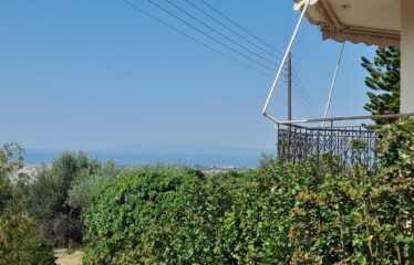 ΜΑΙΖΟΝΕΤΑ ΚΑΛΑΜΑΤΑ