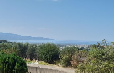 ΜΑΙΖΟΝΕΤΑ ΚΑΛΑΜΑΤΑ