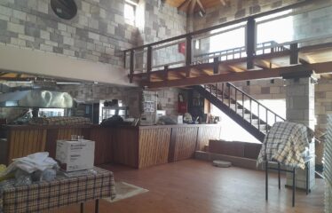 ΕΠΑΓΓΕΛΜΑΤΙΚΟ ΚΤΗΡΙΟ ΑΡΤΙΚΙ ΤΡΙΦΥΛΛΙΑΣ