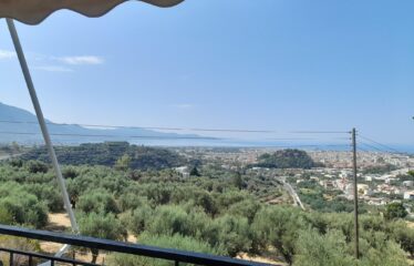 ΜΑΙΖΟΝΕΤΑ ΚΑΛΑΜΑΤΑ