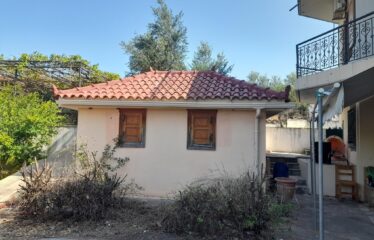 ΜΑΙΖΟΝΕΤΑ ΚΑΛΑΜΑΤΑ