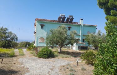 ΜΑΙΖΟΝΕΤΑ ΚΑΛΑΜΑΤΑ