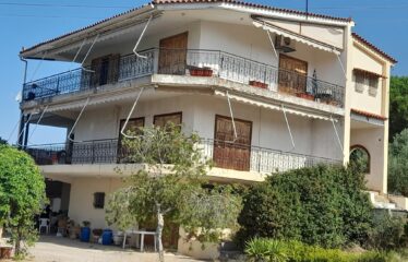 ΜΑΙΖΟΝΕΤΑ ΚΑΛΑΜΑΤΑ