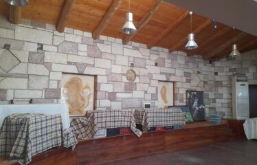 ΕΠΑΓΓΕΛΜΑΤΙΚΟ ΚΤΗΡΙΟ ΑΡΤΙΚΙ ΤΡΙΦΥΛΛΙΑΣ