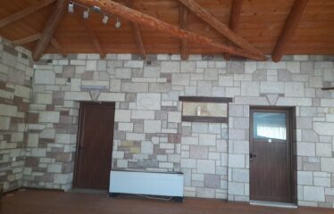 ΕΠΑΓΓΕΛΜΑΤΙΚΟ ΚΤΗΡΙΟ ΑΡΤΙΚΙ ΤΡΙΦΥΛΛΙΑΣ