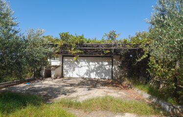 ΜΑΙΖΟΝΕΤΑ ΚΑΛΑΜΑΤΑ