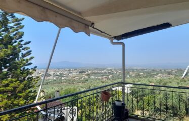 ΜΑΙΖΟΝΕΤΑ ΚΑΛΑΜΑΤΑ