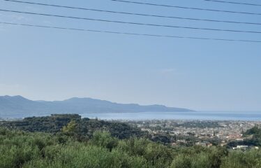 ΜΑΙΖΟΝΕΤΑ ΚΑΛΑΜΑΤΑ