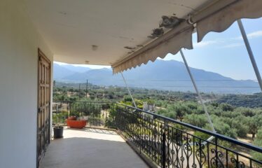 ΜΑΙΖΟΝΕΤΑ ΚΑΛΑΜΑΤΑ