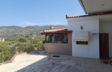 ΜΑΙΖΟΝΕΤΑ ΚΑΛΑΜΑΤΑ