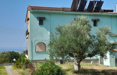 ΜΑΙΖΟΝΕΤΑ ΚΑΛΑΜΑΤΑ