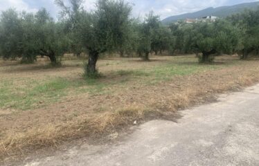 Οικόπεδο Αντικαλαμος