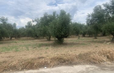 Οικόπεδο Αντικαλαμος