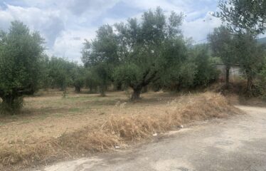 Οικόπεδο Αντικαλαμος