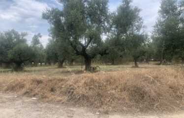 Οικόπεδο Αντικαλαμος