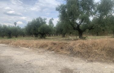 Οικόπεδο Αντικαλαμος