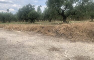 Οικόπεδο Αντικαλαμος